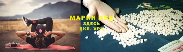дмт Алзамай