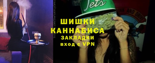 дмт Алзамай