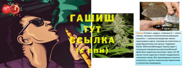 дмт Алзамай
