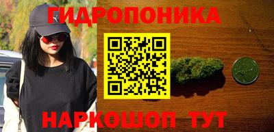 гидропоника Пушкино
