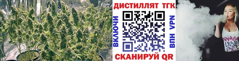 где можно купить   Томск  Дистиллят ТГК жижа 