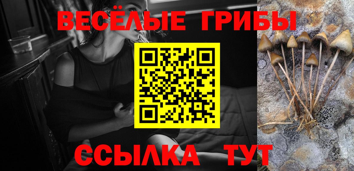 Галлюциногенные грибы MAGIC MUSHROOMS Томск