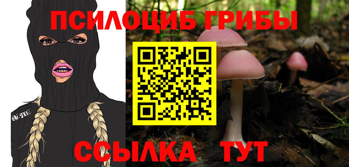 купить   Галлюциногенные грибы GOLDEN TEACHER  Томск  Вход с VPN  Галлюциногенные грибы мицелий 